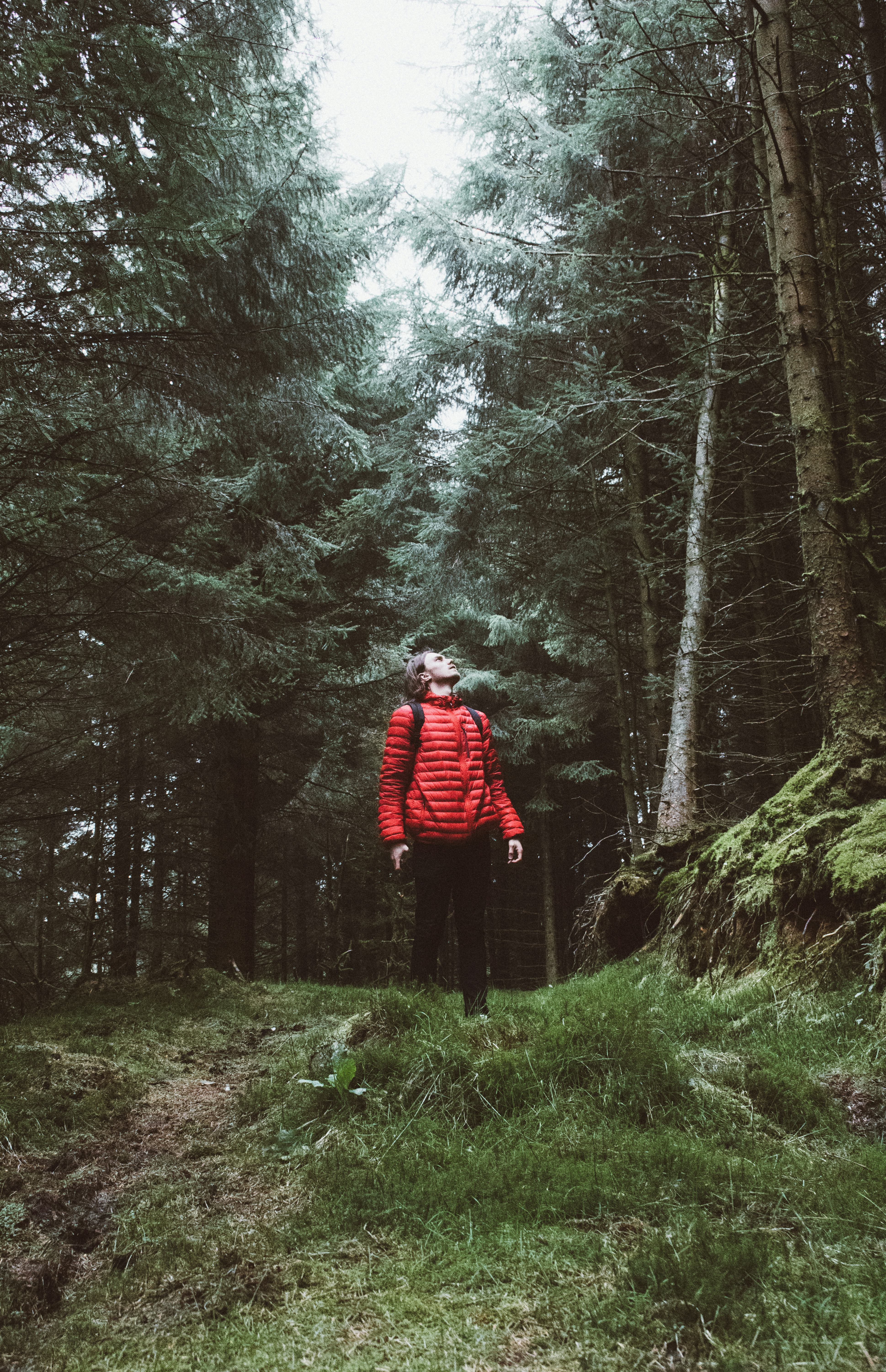 Why "Forest Bathing" Can Boost Your Physical And Mental Health