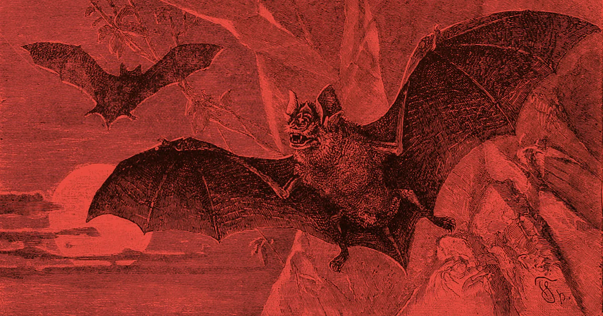 What Animals Drink Blood? Bats and 4 Other Extremely Metal Creatures