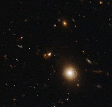 Quasar host galaxies are hard to image. They're very far away and the quasar itself is very bright. ...