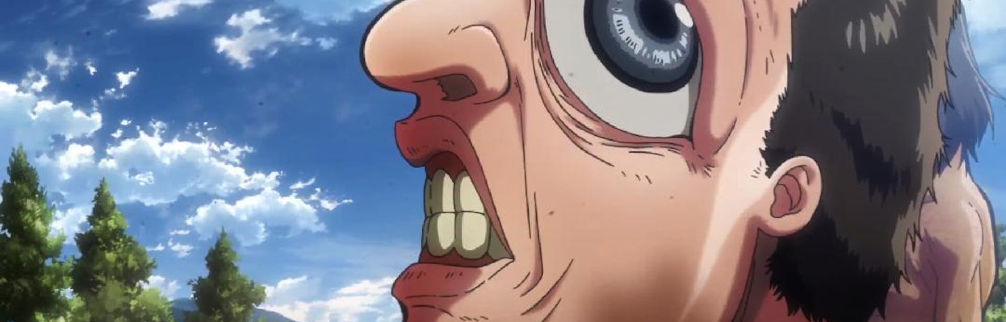 Featured image of post Attack On Titan Why Did Ymir Leave - But maybe they porco and marcel didn't transform into having hardened sections like the armored titan, but like the female has to harden them.
