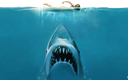 All the 'Jaws' Movies and Everything Else Coming to Netflix in ...