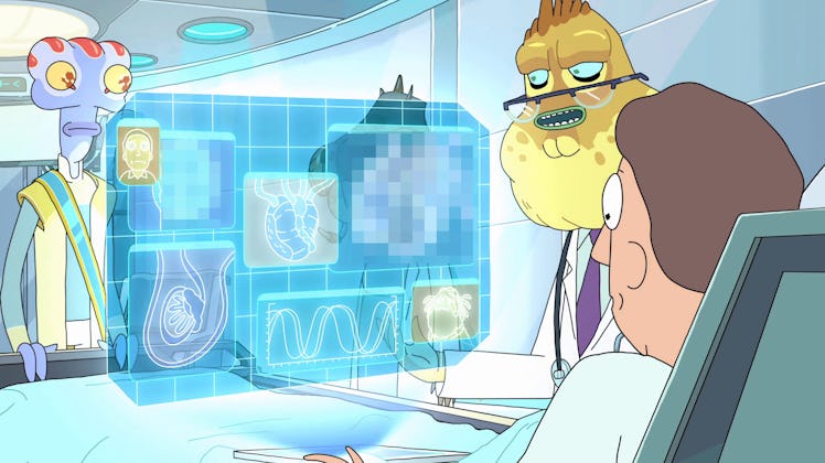 'Rick and Morty' Jerry's Penis