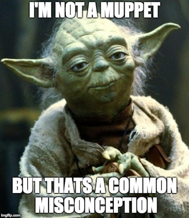 Yoda and "I'm not a muppet but thats a common misconception" meme text