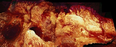 neanderthal cave painting