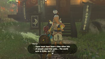 The 5 Best Challenge Runs In Zelda Breath Of The Wild