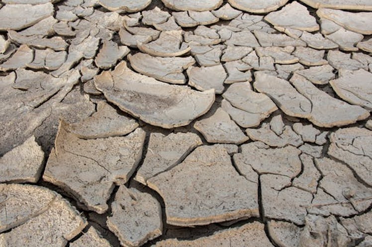 Above 1.5℃, millions more around the world will struggle for fresh water amid crop failure and deadl...