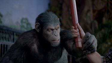 war for the planet of the apes caesar grabs hand 