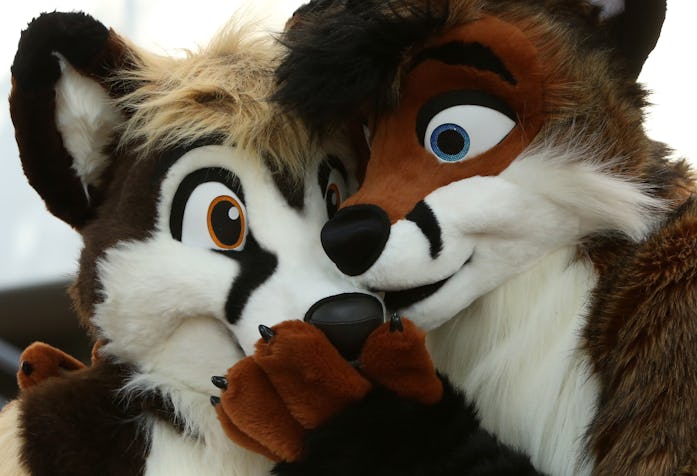 Two Furries Cuddle At Eurofurence ?w=349&h=238&fit=max&auto=format%2Ccompress&q=50&dpr=2