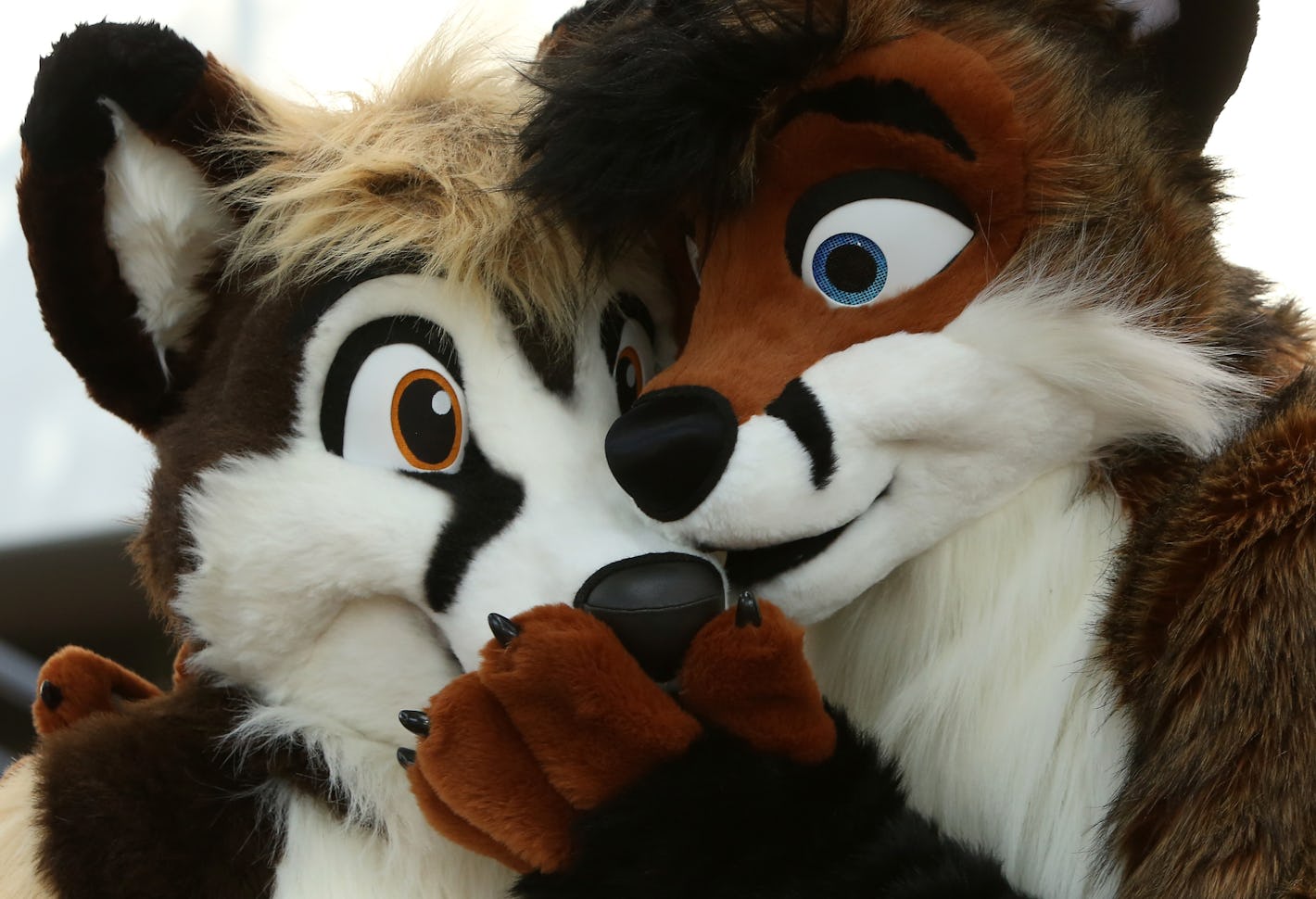 New Data Shows Furries Are Rapidly Growing in Number But Why? New Data Shows Furries Are Rapidly Growing in Number But Why?