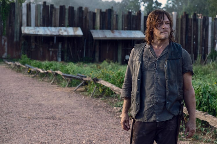 the walking dead season 9 episode 11 daryl dixon norman reedus alpha whisperers