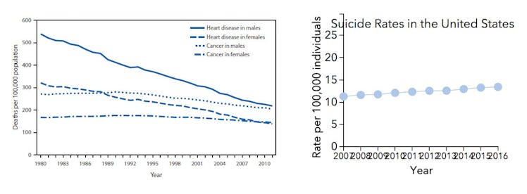 suicide rates vs heart disease and cance 