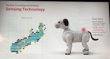 aibo robotic dog