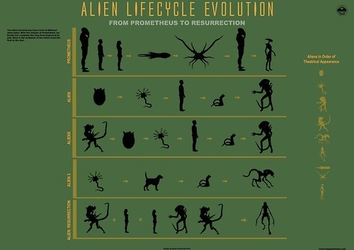 A Complete Guide To Alien Xenomorph Biology