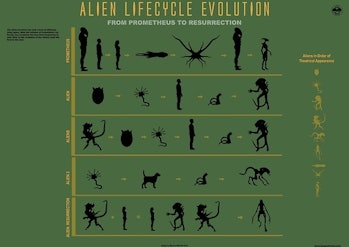 Alien Xenomorph Biology Explained