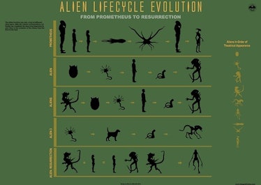 A fan's rendering of the xenomorph life cycle.