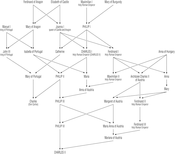 History's most famous chin officially linked to centuries of inbreeding