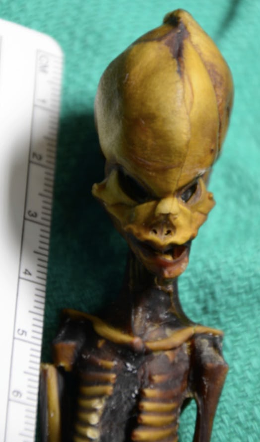 Atacama alien skeleton 