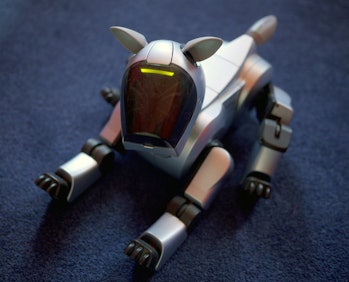 The Sony Aibo ERS 210.