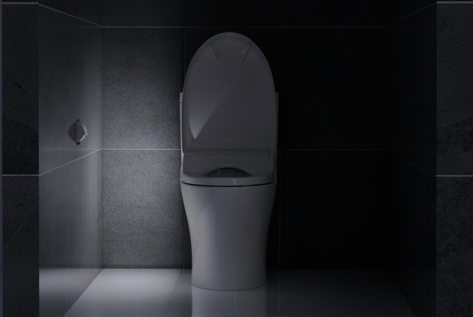 Testing The Toto Washlet S550e Electronic Bidet Toilet Seat