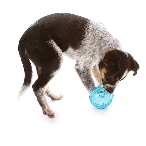 OurPets IQ Treat Ball Interactive Food Dispensing Dog Toy