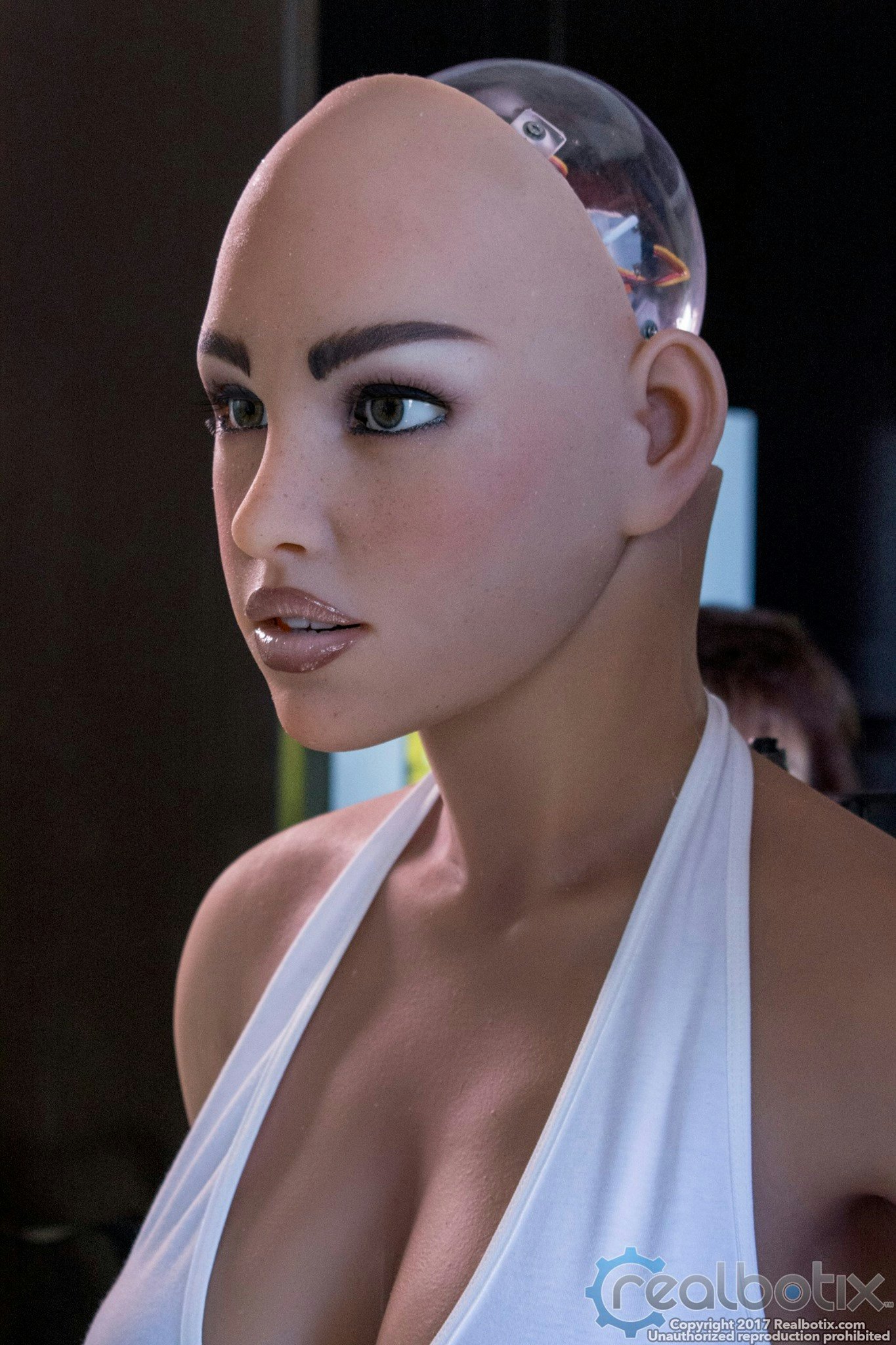 Could Sex Robots Result in Happy Marriages? Book Examines Just That