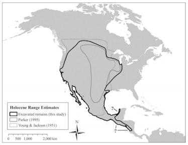 coyote range