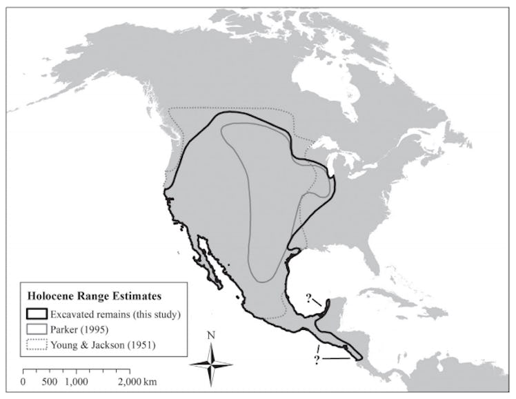 coyote range