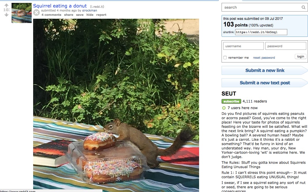 The 12 Best Animal Subreddits in One Ranked List, From Cute To Bizarre