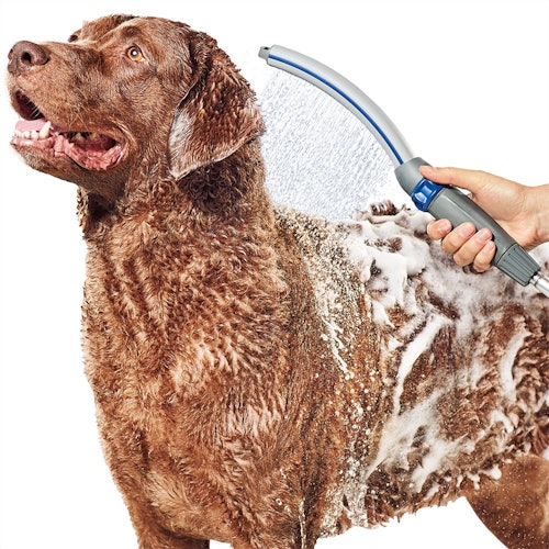 Waterpik Pet Wand Pro Dog Shower Attachment
