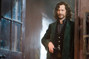Face it: Sirius Black was your favorite animagus.