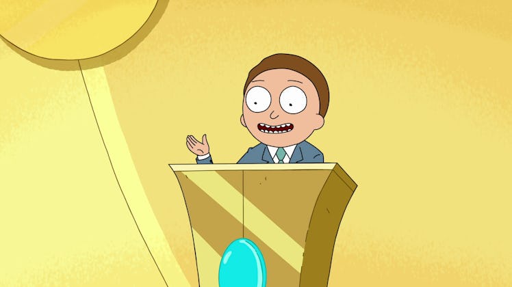 rick and morty candidate