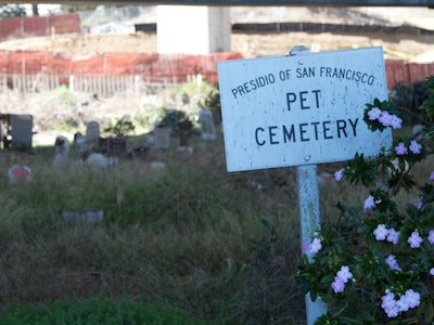 The San Francisco Pet Cemetery and a white table