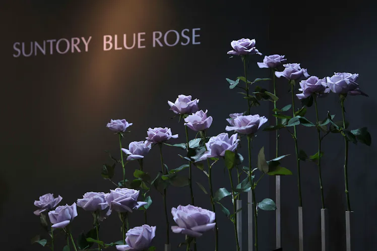 You Think You Know What Blue Is, But You Have No Idea