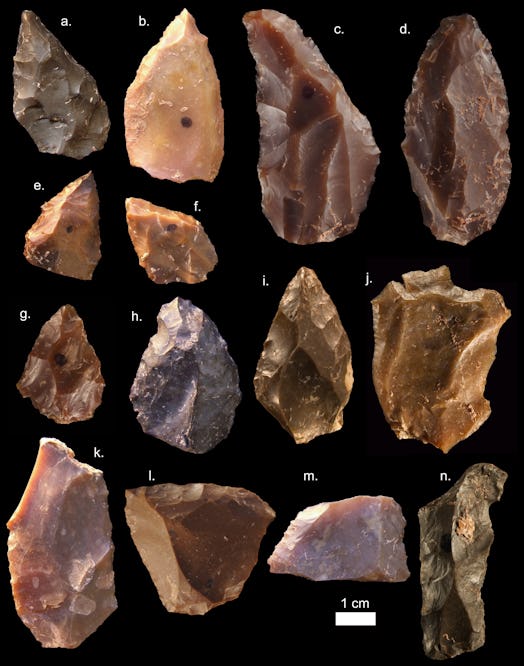 Some of the Middle Stone Age stone tools from Jebel Irhoud (Morocco). Pointed forms such as a-i are ...