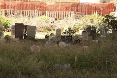 Pet cemetery with a dozen of tombstones on the field.