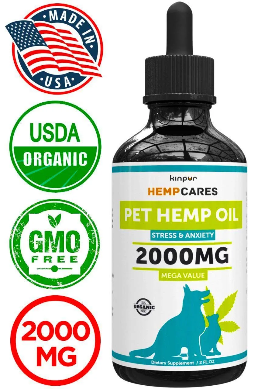 Best Hemp Oil for Dogs? Try These Brands