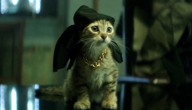 Keanu movie displays a cat wearing a golden chain and a black beanie.