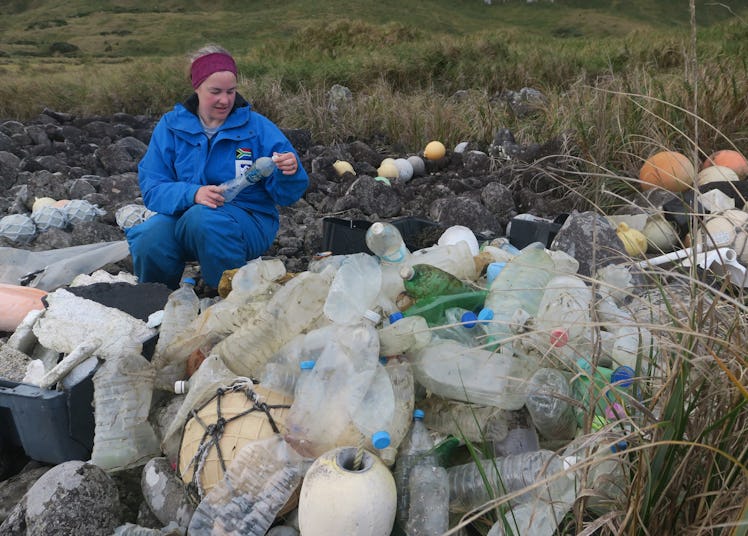 Study co-author Maelle Connan inspecting bottles to see where they came from