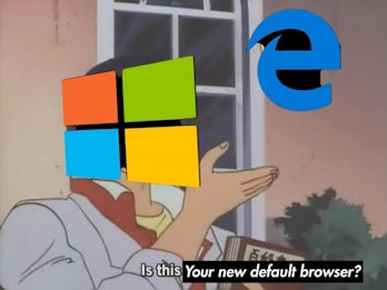 windows pigeon meme