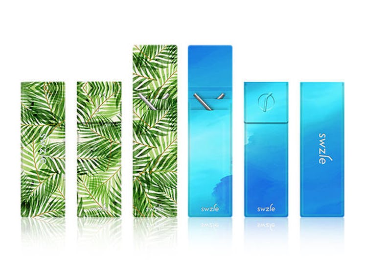 SWZLE Sustainable Straws & Case: 2-Pack (Palm Leaves, Blue Ocean)