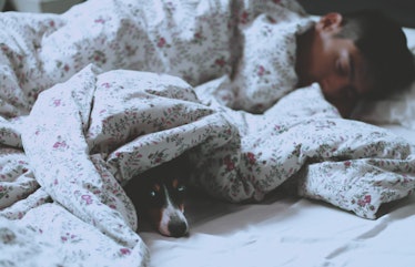 A boy sleeping with a dog under the same blanket