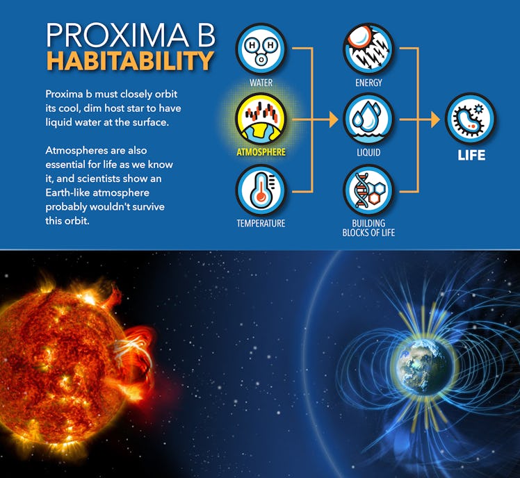 proxima b habitable expolanet orbit