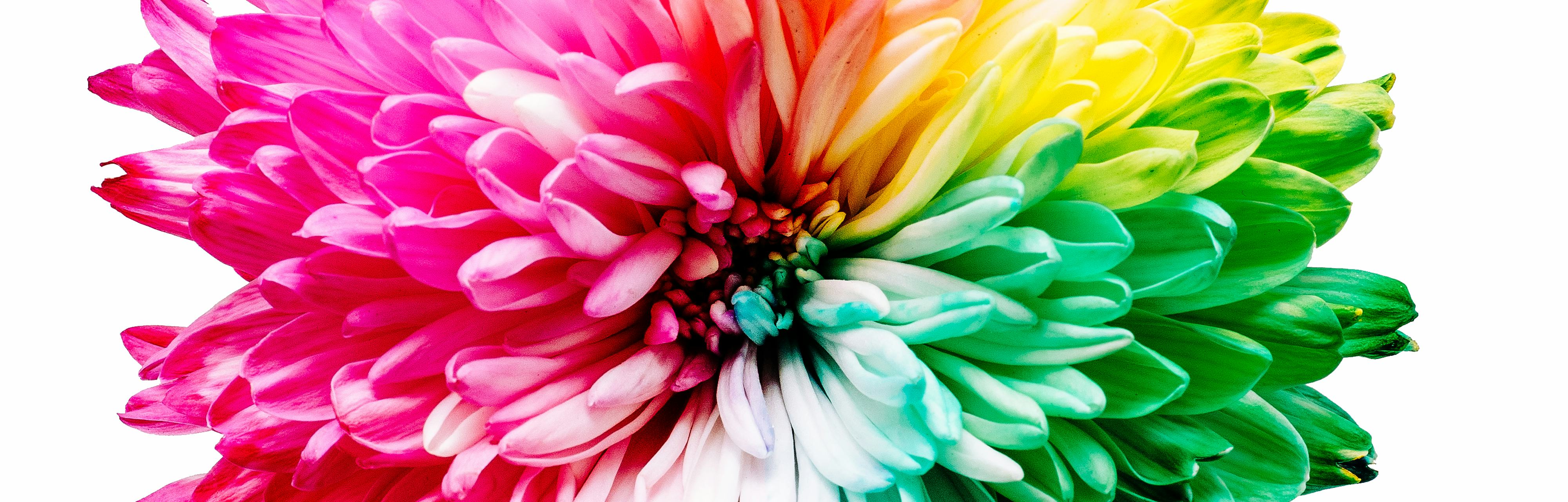 Can Different People See the Same Colors? Scientists Have an Idea