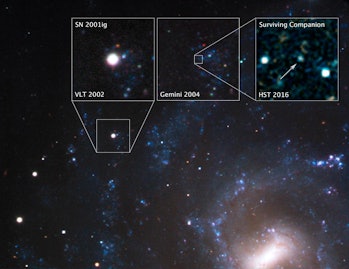supernova 2001ig NGC 7424 