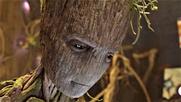 Teen Groot might help Thor out in 'Infinity War'.