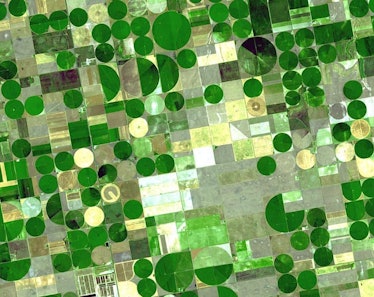Crop circles in Finney County, Kansas, denote irrigated plots using water from the Ogallala Aquifer.