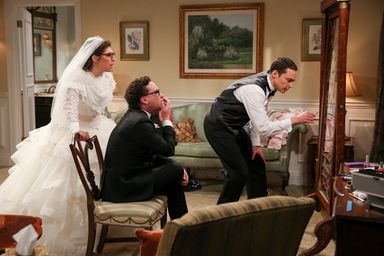 Sheldon Amy wedding Big Bang Theory