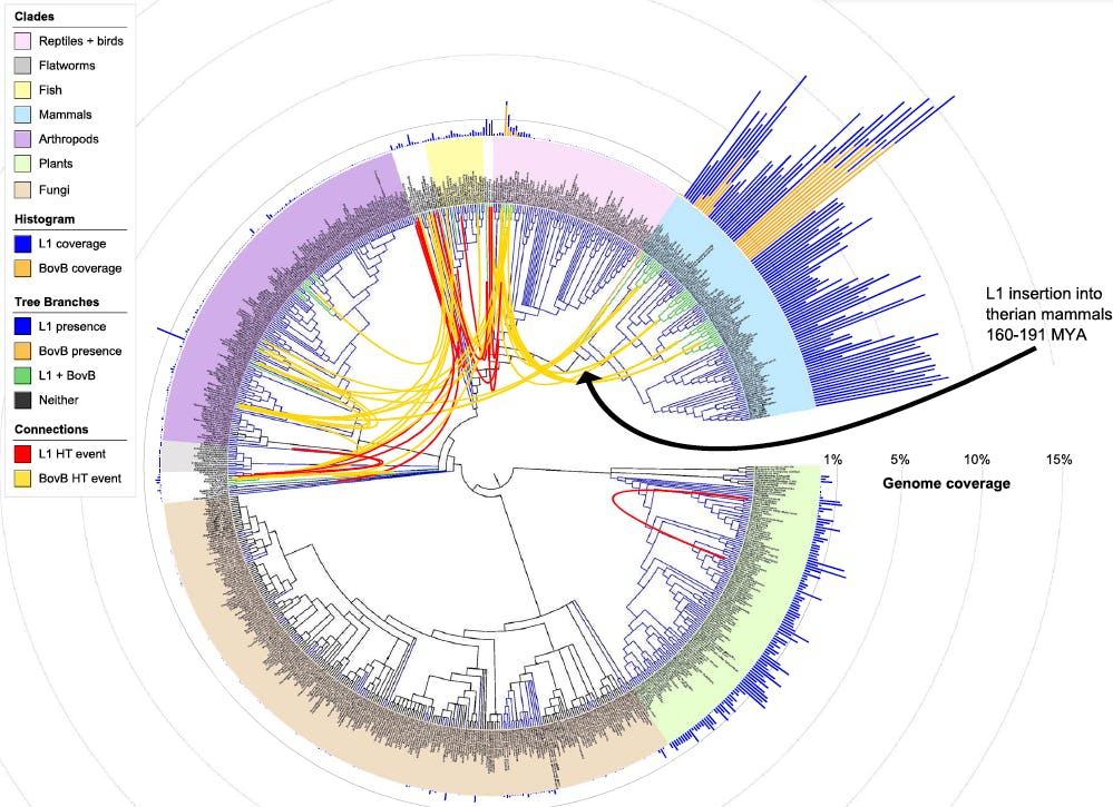 'Jumping Genes' Complicate Evolution Theory With DNA Shared Across Species