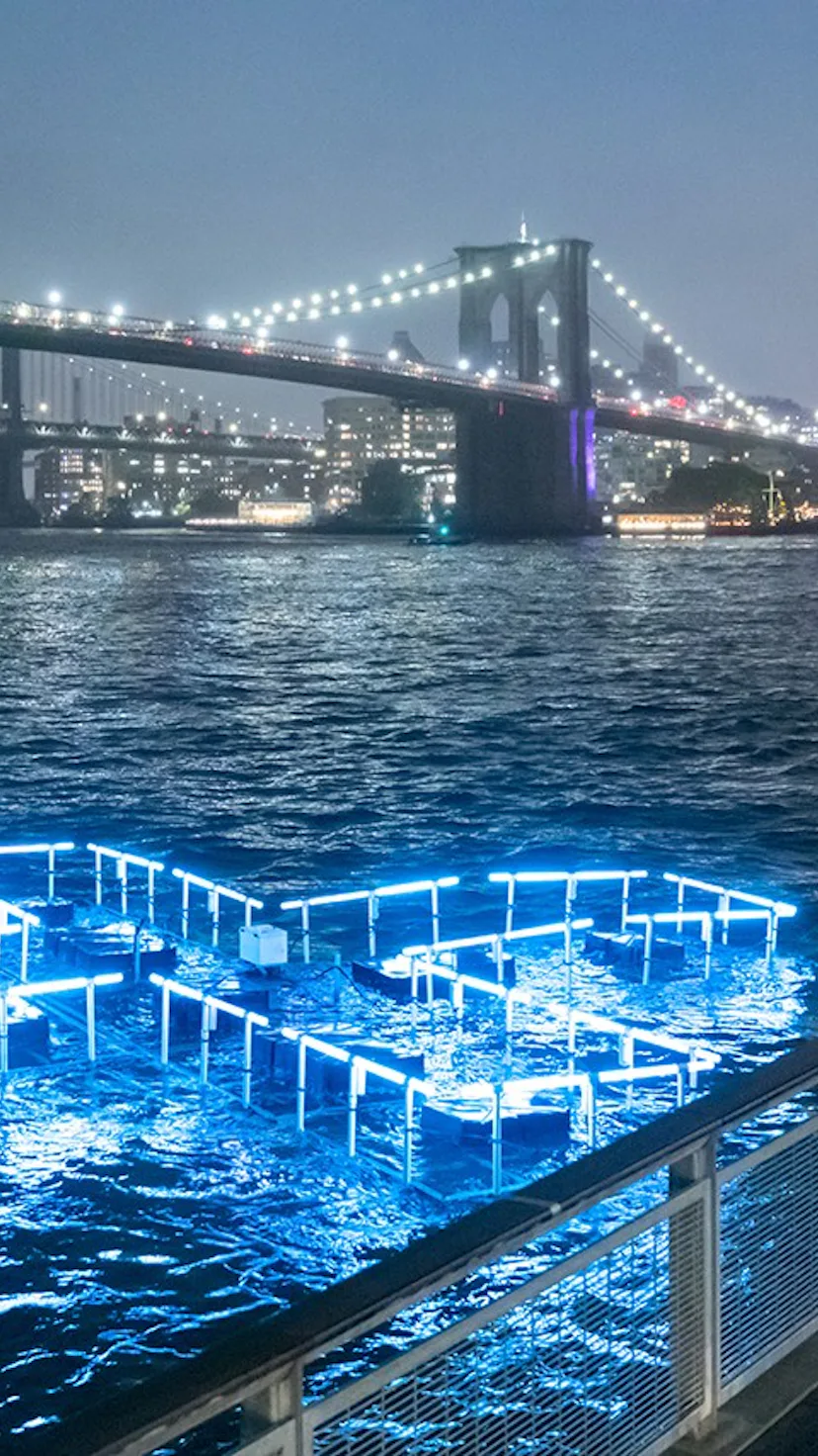 Plus Pool: New Yorkers might be safely swimming in the East River by 2025
