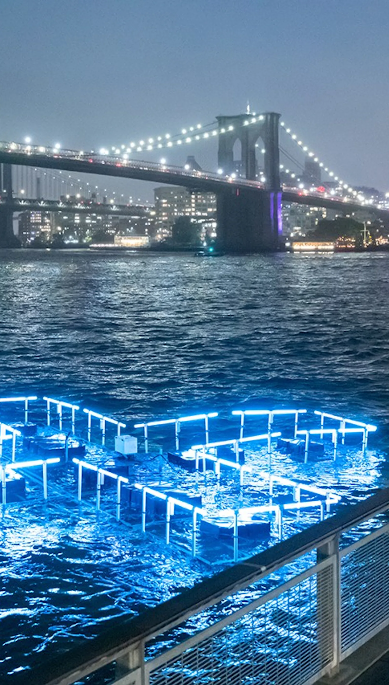 Plus Pool: New Yorkers might be safely swimming in the East River by 2025